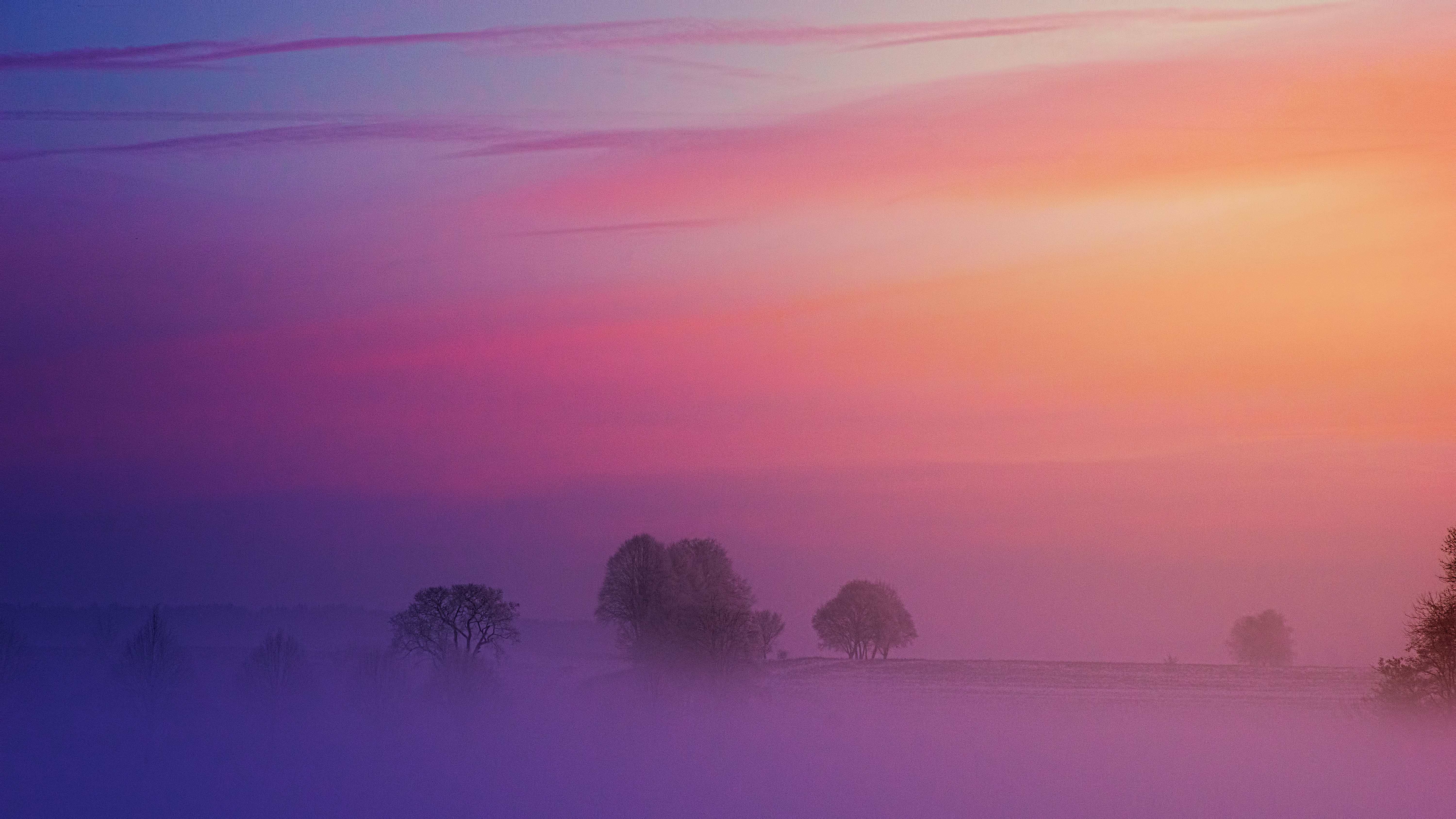 brouillard-couvert-d-arbres-avec-un-coucher-de-soleil-violet-au-dessus.jpg